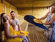 Sauna show